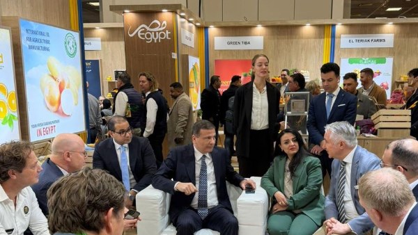 جانب من المعرض 