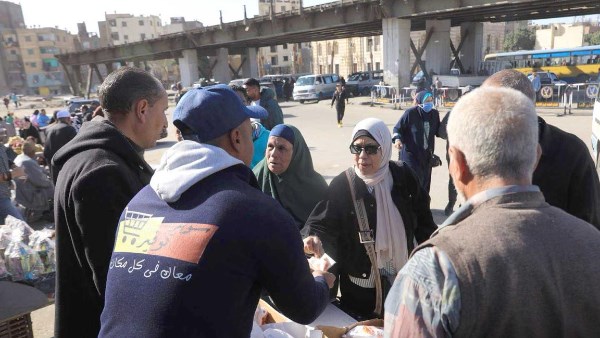 طرح الدواجن 