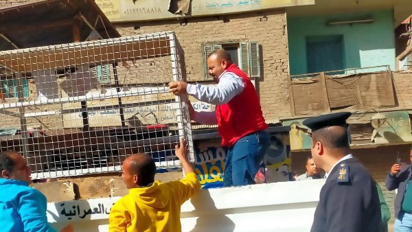 رفع اشغالات