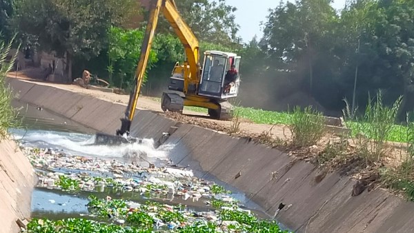 زراعة المنوفية