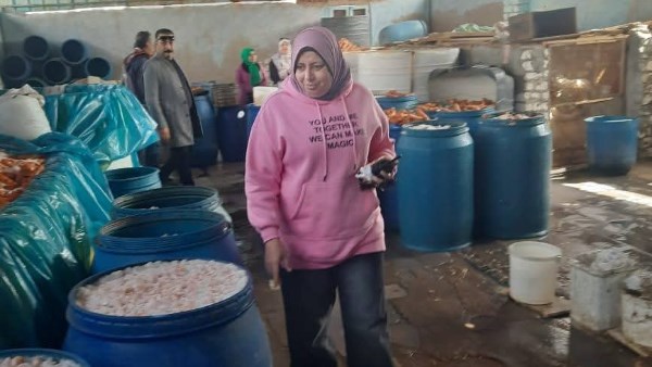 ضبط معمل لتصنيع مخللات فاسدة بميت أبو شيخة في المنوفية