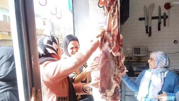 حملات بيطرية مكثفة 