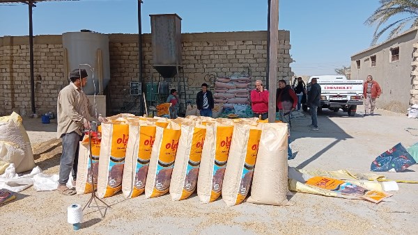 ضبط مصنع غير مرخص لتعبئة الأعلاف الحيوانية بعرب العوامر 