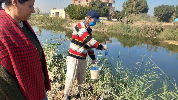 استمرار تنفيذ الحملة القومية لمكافحة القوارض لعام 2026 بالقرى والنجوع بأسيوط 