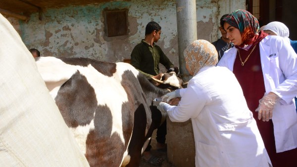 جامعة أسيوط تطلق قافلة تنموية شاملة لخدمة 2471 مواطنًا بقرية العونة بمركز ساحل سليم