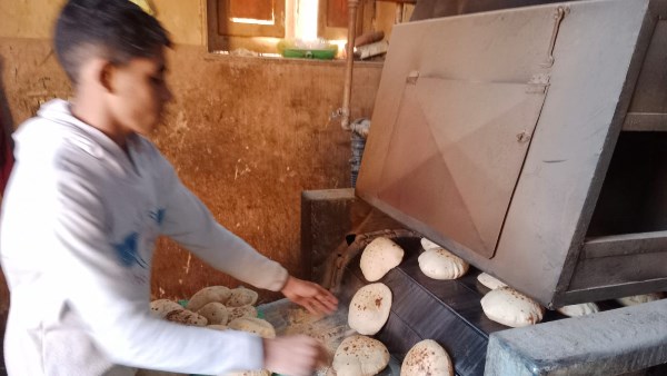  حملة تموين بقري أسيوط