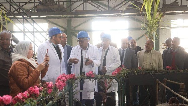 محافظ قنا يفتتح موسم عصير القصب بمصنع سكر دشنا