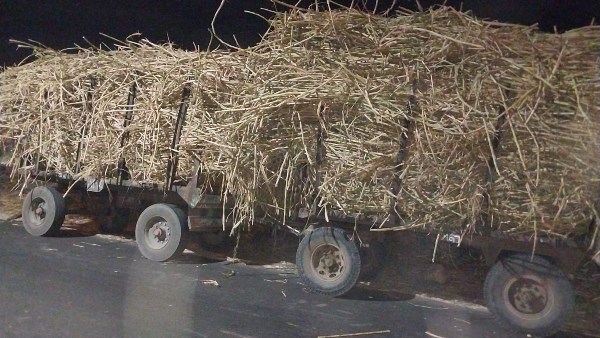 مقطورات القصب