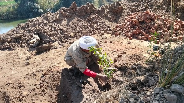 قرية أولاد عمرو 