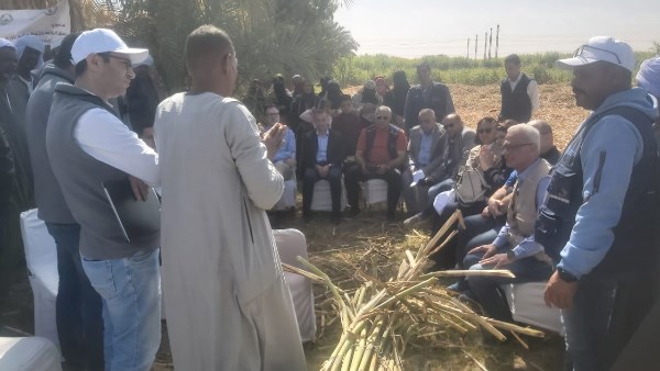 جهود متنوعة 