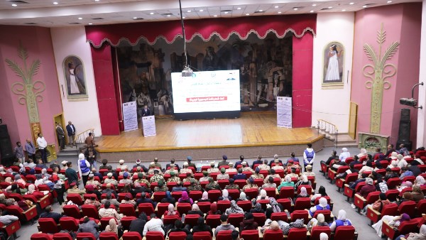 جهود محافظة أسوان