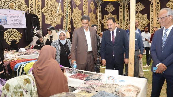 جهود محافظة أسوان