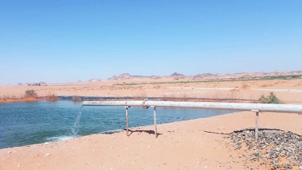 جهود متنوعة