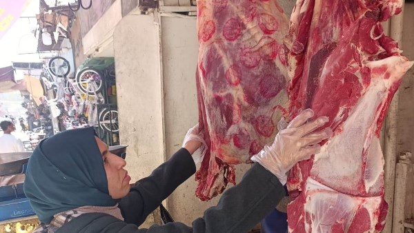 جهود محافظة أسوان