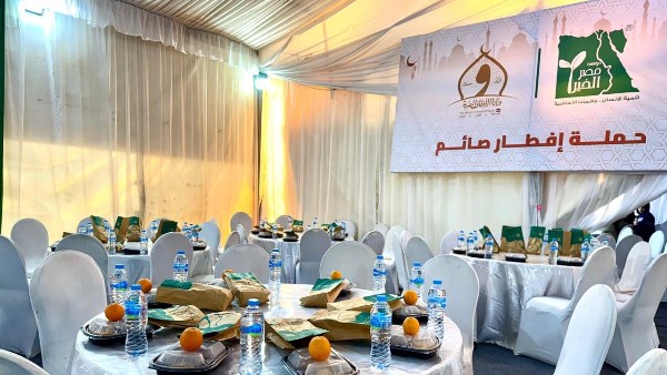 جهود محافظة أسوان