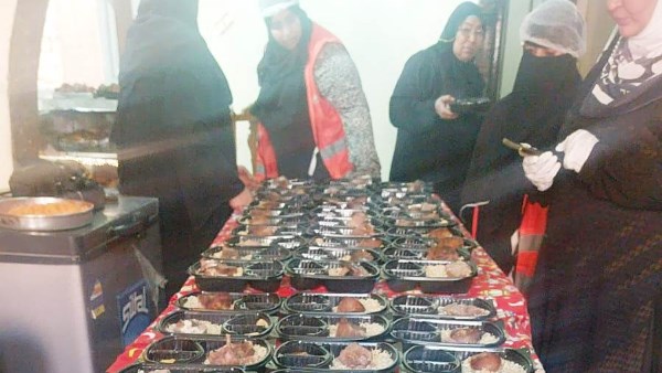 جهود محافظة أسوان