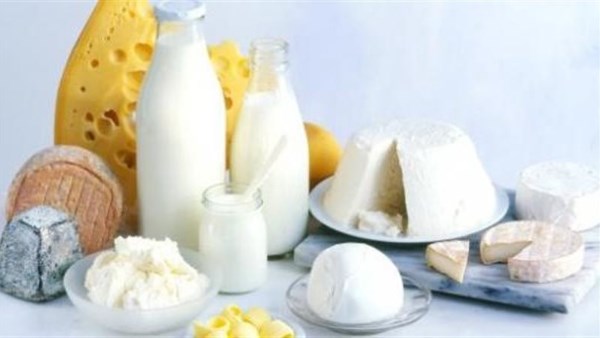 منتجات الألبان ارشيفيه 