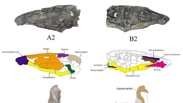 جانب من الحدث