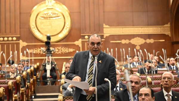 الدكتور رجائي عزت