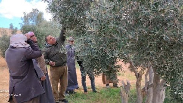 خلال مرور لجنة التنمية المستدامة