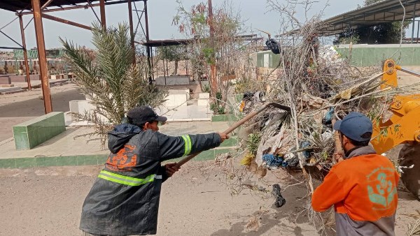 نظافة مقابر بورسعيد 