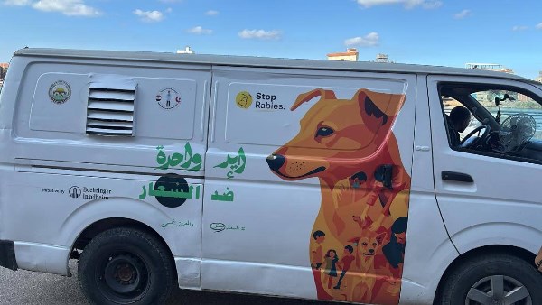 مركز رعاية الكلاب