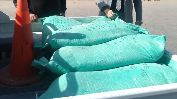 تموين دمياط