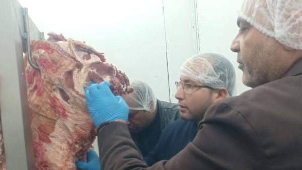 جانب من الحملة 