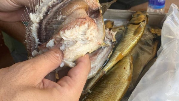 مصادرة طن و250 كيلو أسماك مدخنة مجهولة المصدر بالغربية