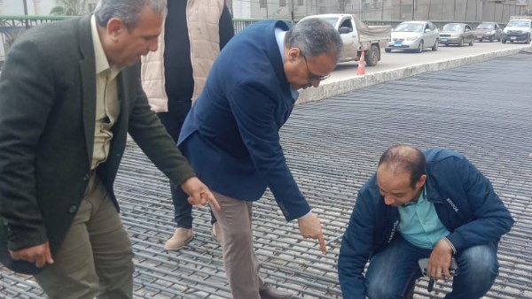 محافظ الشرقية