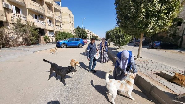 تعقيم الكلاب