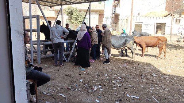 قوافل بيطرية