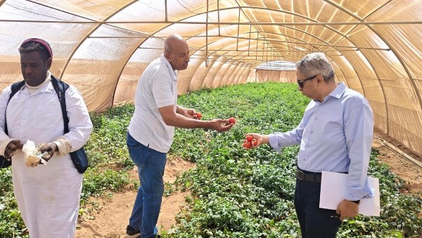 بحوث الصحراء 