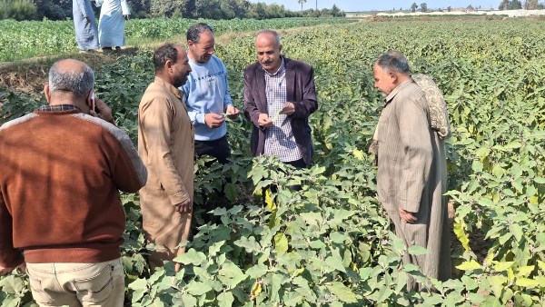 لزراعة تكثف أنشطتها الميدانية بـ 18 محافظة 