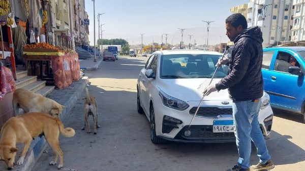 تحصين الكلاب