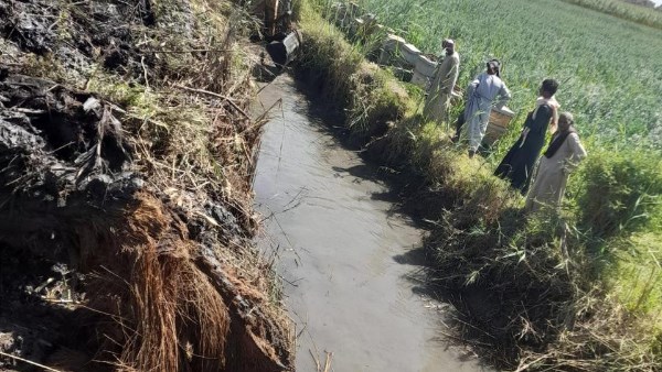 تطهير المساقي 