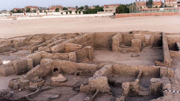 جانب من الفاعليات  