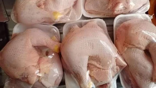 أسعار الفراخ اليوم 