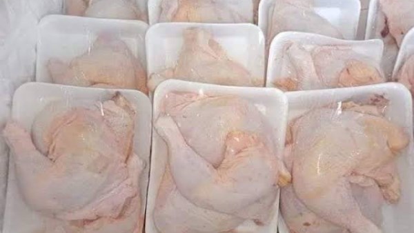 اسعار الفراخ اليوم 