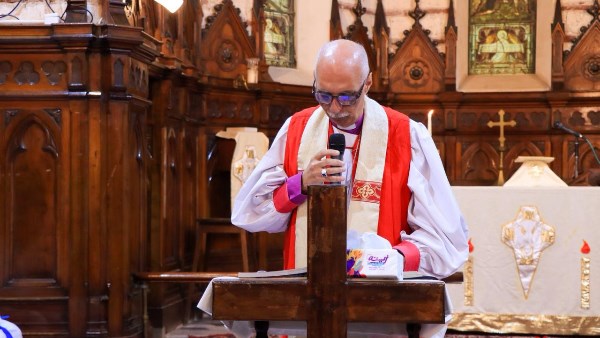 الدكتور سامي فوزي 