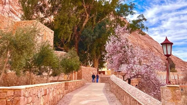 دير سانت كاترين 