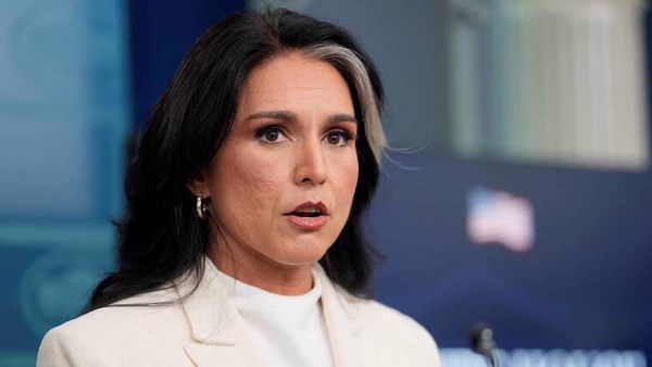 رئيسة المخابرات الوطنية الأمريكية تولسي جابارد