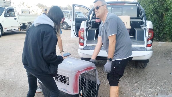 صورة ارشيفية