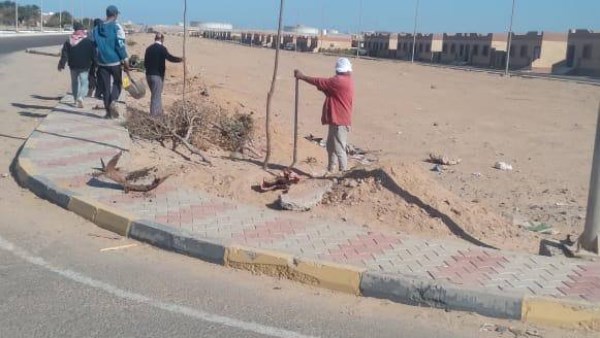 صورة موضوعية