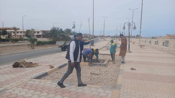 صورة موضوعية