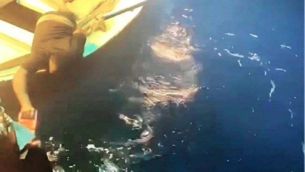 صورة ارشيفية