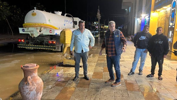 صورة موضوعية