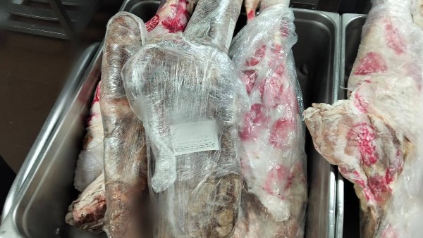 صورة موضوعية