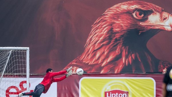 محمد الشناوي 