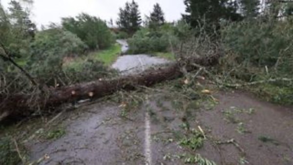 عاصفة شديدة تضرب نيوزيلندا